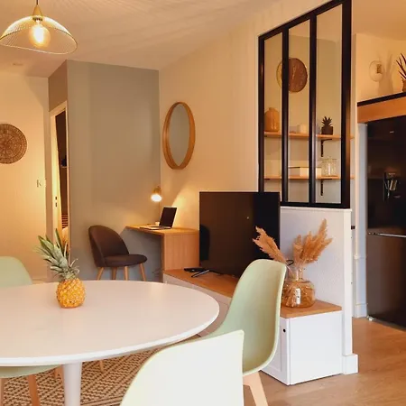 Daire T2 Quartier Mermoz, 2 Places De Parking Privees Pamiers